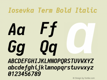 Iosevka Term Bold Italic 1.13.1; ttfautohint (v1.6)图片样张