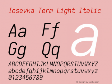 Iosevka Term Light Italic 1.13.1; ttfautohint (v1.6)图片样张