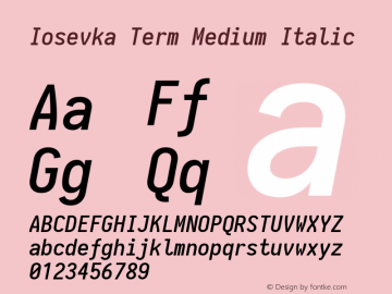 Iosevka Term Medium Italic 1.13.1; ttfautohint (v1.6)图片样张