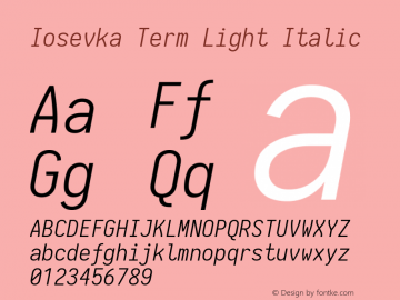 Iosevka Term Light Italic 1.13.1; ttfautohint (v1.6)图片样张