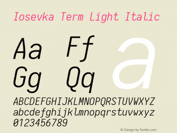 Iosevka Term Light Italic 1.13.1; ttfautohint (v1.6)图片样张