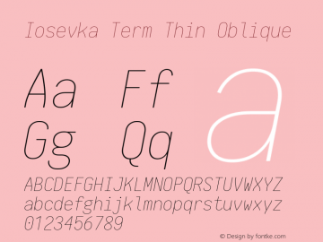 Iosevka Term Thin Oblique 1.13.1; ttfautohint (v1.6)图片样张