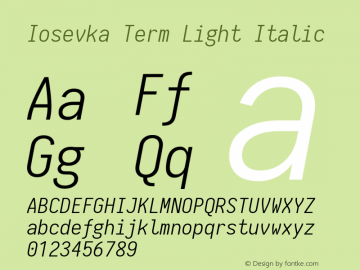 Iosevka Term Light Italic 1.13.1; ttfautohint (v1.6)图片样张