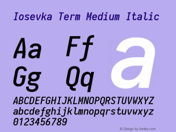 Iosevka Term Medium Italic 1.13.1; ttfautohint (v1.6)图片样张
