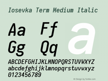 Iosevka Term Medium Italic 1.13.1; ttfautohint (v1.6)图片样张