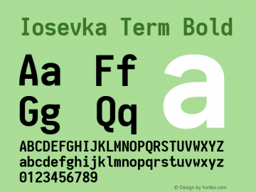 Iosevka Term Bold 1.13.1; ttfautohint (v1.6)图片样张