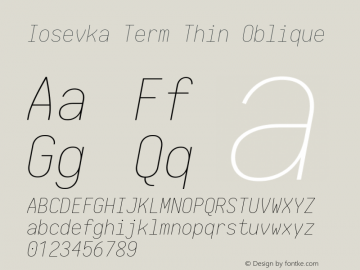 Iosevka Term Thin Oblique 1.13.1; ttfautohint (v1.6)图片样张