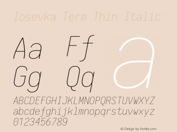 Iosevka Term Thin Italic 1.13.1; ttfautohint (v1.6)图片样张