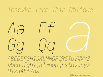 Iosevka Term Thin Oblique 1.13.1; ttfautohint (v1.6)图片样张