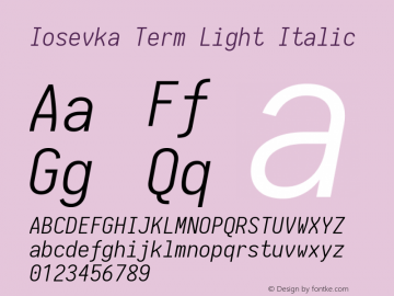 Iosevka Term Light Italic 1.13.1; ttfautohint (v1.6)图片样张