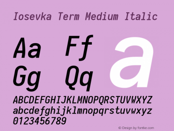 Iosevka Term Medium Italic 1.13.1; ttfautohint (v1.6)图片样张