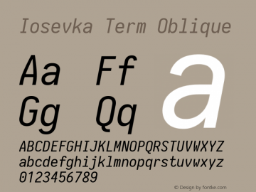 Iosevka Term Oblique 1.13.1; ttfautohint (v1.6)图片样张