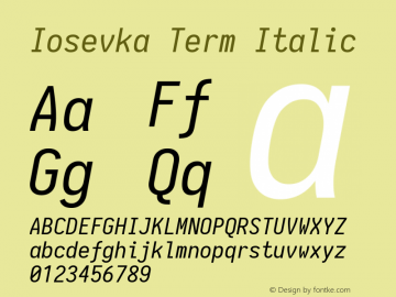 Iosevka Term Italic 1.13.1; ttfautohint (v1.6)图片样张