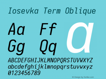 Iosevka Term Oblique 1.13.1; ttfautohint (v1.6)图片样张