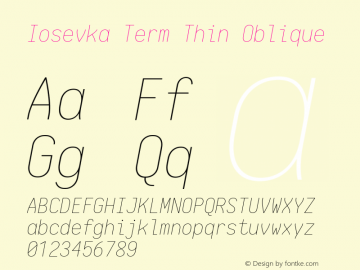 Iosevka Term Thin Oblique 1.13.1; ttfautohint (v1.6)图片样张