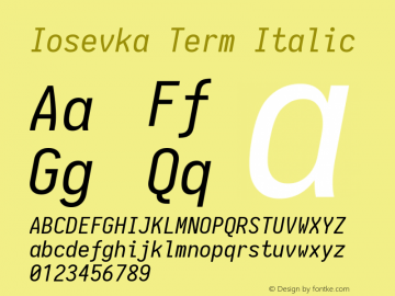 Iosevka Term Italic 1.13.1; ttfautohint (v1.6)图片样张