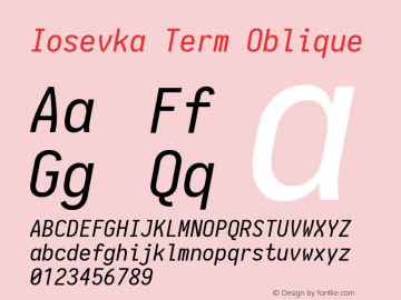 Iosevka Term Oblique 1.13.1; ttfautohint (v1.6)图片样张