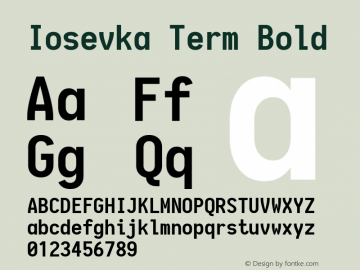 Iosevka Term Bold 1.13.1; ttfautohint (v1.6)图片样张