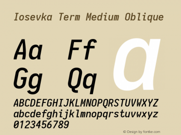 Iosevka Term Medium Oblique 1.13.1; ttfautohint (v1.6)图片样张