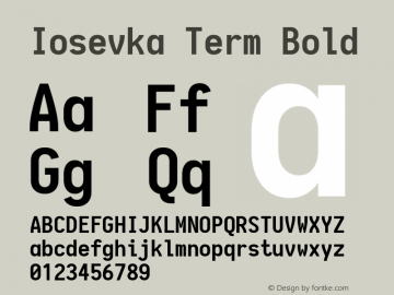 Iosevka Term Bold 1.13.1; ttfautohint (v1.6)图片样张
