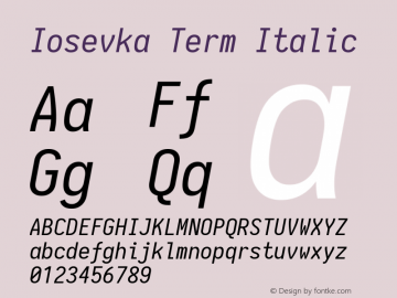 Iosevka Term Italic 1.13.1; ttfautohint (v1.6)图片样张