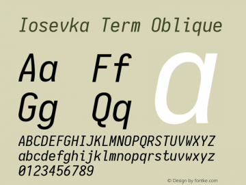 Iosevka Term Oblique 1.13.1; ttfautohint (v1.6)图片样张