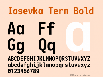 Iosevka Term Bold 1.13.1; ttfautohint (v1.6)图片样张
