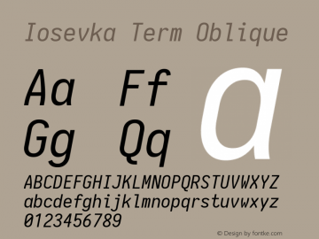 Iosevka Term Oblique 1.13.1; ttfautohint (v1.6)图片样张