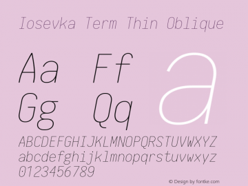 Iosevka Term Thin Oblique 1.13.1; ttfautohint (v1.6)图片样张