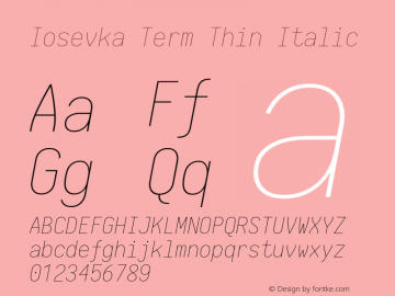 Iosevka Term Thin Italic 1.13.1; ttfautohint (v1.6)图片样张