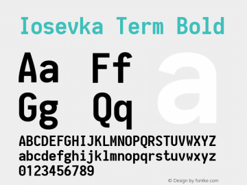 Iosevka Term Bold 1.13.1; ttfautohint (v1.6)图片样张