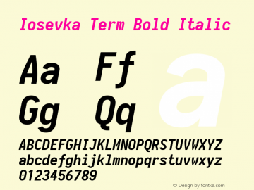 Iosevka Term Bold Italic 1.13.1; ttfautohint (v1.6)图片样张