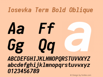 Iosevka Term Bold Oblique 1.13.1; ttfautohint (v1.6)图片样张