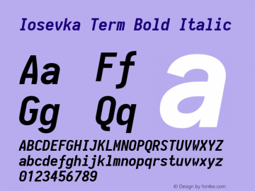 Iosevka Term Bold Italic 1.13.1; ttfautohint (v1.6)图片样张