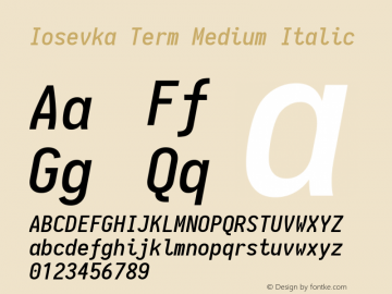 Iosevka Term Medium Italic 1.13.1; ttfautohint (v1.6)图片样张