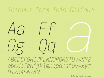 Iosevka Term Thin Oblique 1.13.1; ttfautohint (v1.6)图片样张