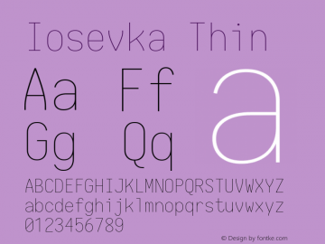 Iosevka Thin 1.13.1; ttfautohint (v1.6) Font Sample