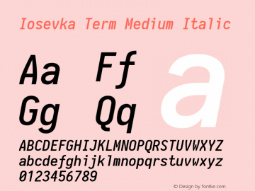 Iosevka Term Medium Italic 1.13.1; ttfautohint (v1.6)图片样张