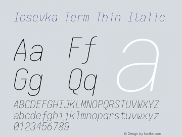 Iosevka Term Thin Italic 1.13.1; ttfautohint (v1.6)图片样张