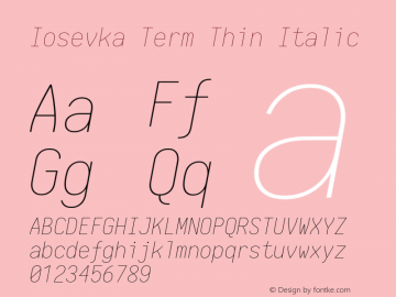 Iosevka Term Thin Italic 1.13.1; ttfautohint (v1.6)图片样张