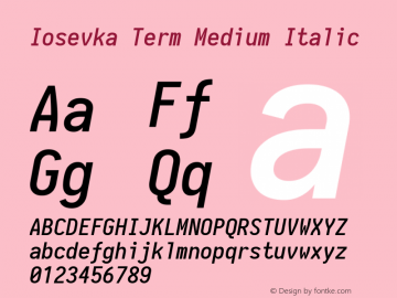 Iosevka Term Medium Italic 1.13.1; ttfautohint (v1.6)图片样张