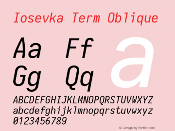 Iosevka Term Oblique 1.13.1; ttfautohint (v1.6)图片样张