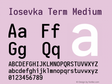 Iosevka Term Medium 1.13.1; ttfautohint (v1.6)图片样张