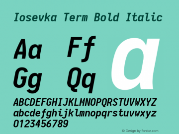 Iosevka Term Bold Italic 1.13.1; ttfautohint (v1.6)图片样张