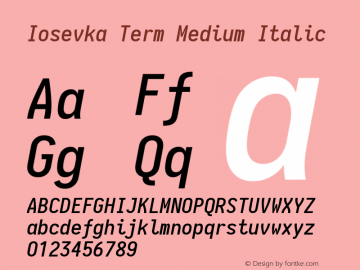 Iosevka Term Medium Italic 1.13.1; ttfautohint (v1.6)图片样张