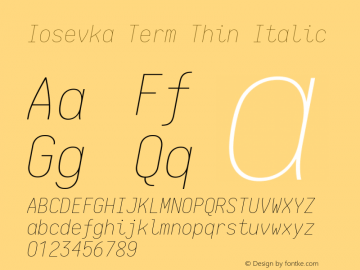 Iosevka Term Thin Italic 1.13.1; ttfautohint (v1.6)图片样张