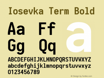 Iosevka Term Bold 1.13.1; ttfautohint (v1.6)图片样张