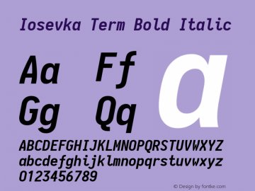 Iosevka Term Bold Italic 1.13.1; ttfautohint (v1.6)图片样张