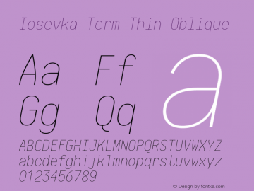 Iosevka Term Thin Oblique 1.13.1; ttfautohint (v1.6)图片样张