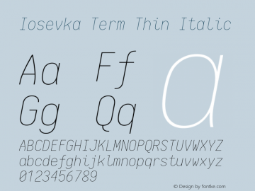 Iosevka Term Thin Italic 1.13.1; ttfautohint (v1.6)图片样张